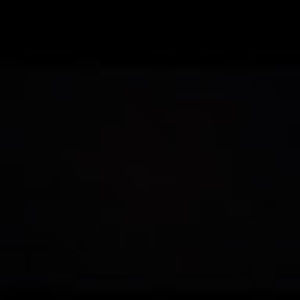 Meet your Posher, Lilly